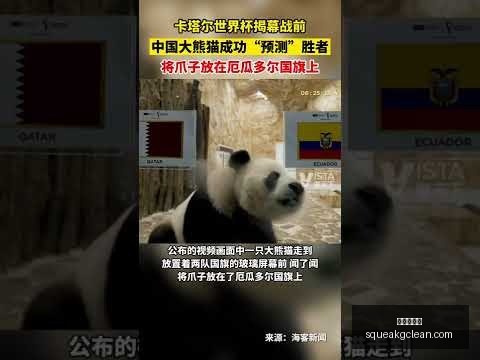 国足晋级之,路或将遭遇,卡塔尔,九游会中心官网,九游会中心App,九游会互动,九游会娱乐,九游会平台